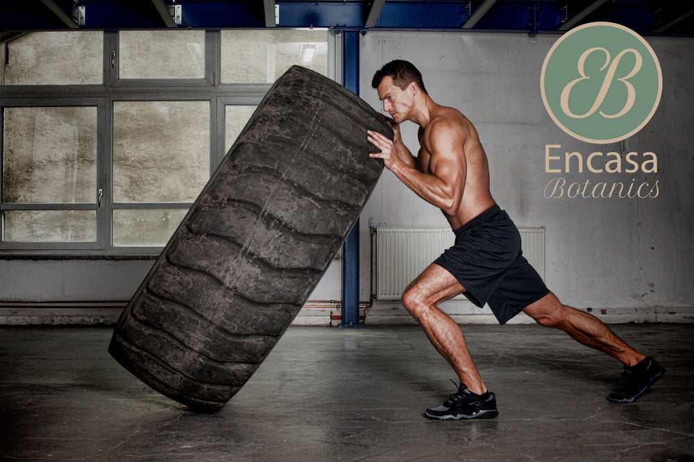 The All-Natural CBD Oil Supplement You Need for Better Strength Training