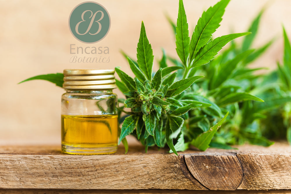 How Can Encasa Botanics Full Spectrum CBD Oil Help With Joint Pain